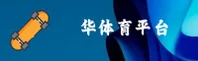 使用指南与常见问题